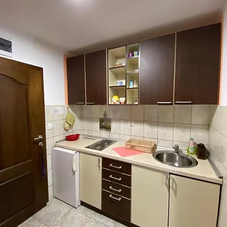Apartmani Bogdanovic Zlatibor Dış mekan fotoğraf