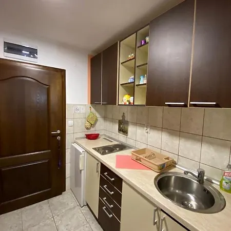 Apartmani Bogdanovic Zlatibor Oda fotoğraf