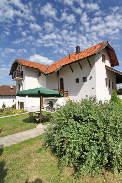 Bogdanovic Zlatibor
